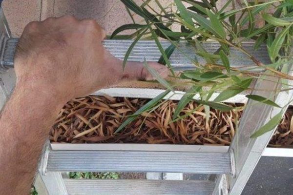 Gutter Cleaning Austin TX 1