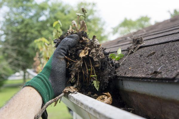 Gutter Cleaning Austin TX 2